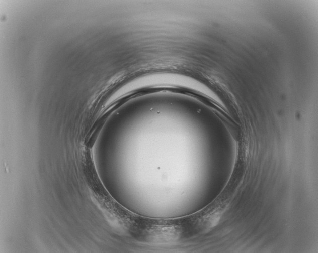 X0000055990260200508261732