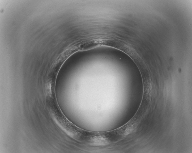 X0000055990262200508261732