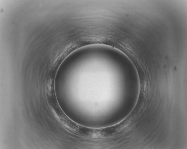 X0000055990264200508261732