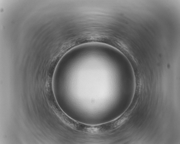 X0000055990265200508261732