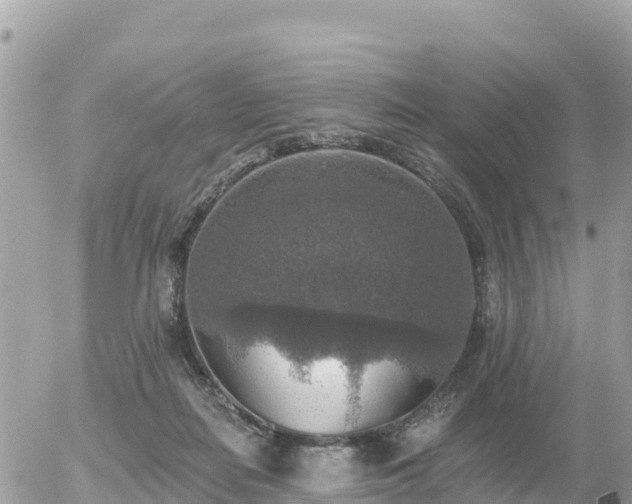 X0000055990266200508261732