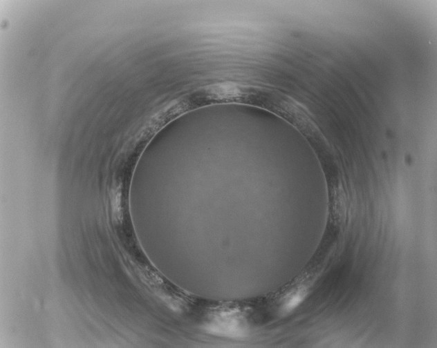 X0000055990267200508261732