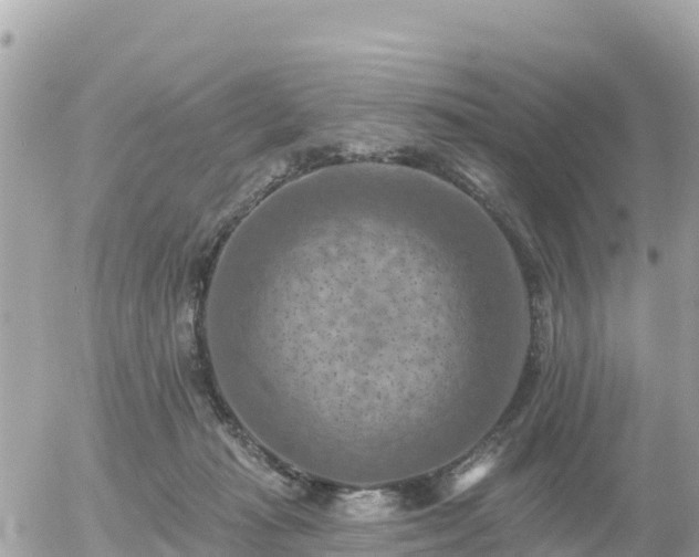 X0000055990269200508261732