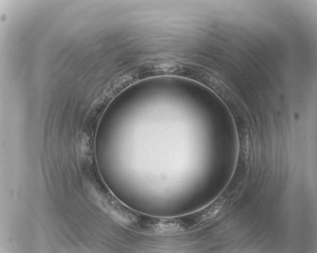 X0000055990270200508261732