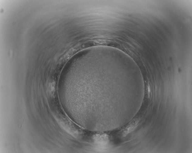 X0000055990271200508261732