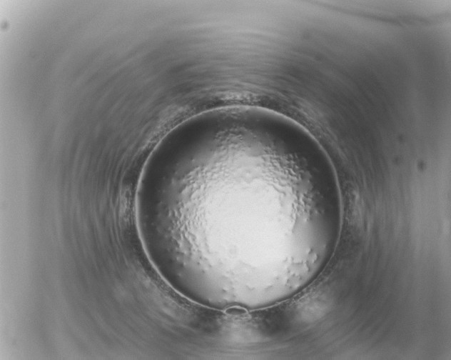 X0000055990273200508261732