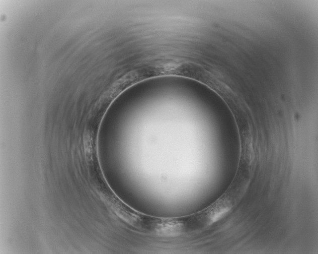 X0000055990274200508261732