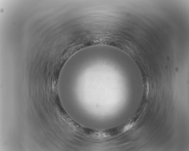 X0000055990276200508261732