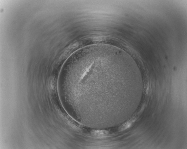 X0000055990277200508261732