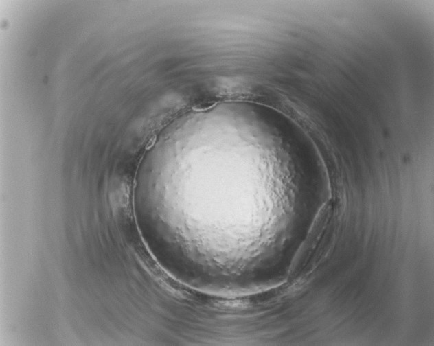 X0000055990281200508261732