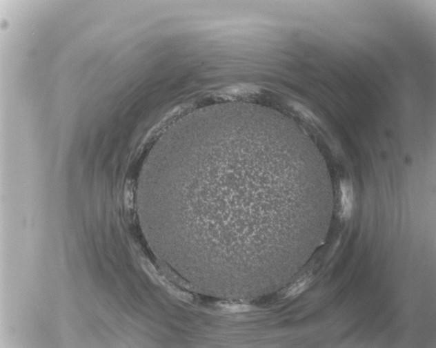 X0000055990284200508261732