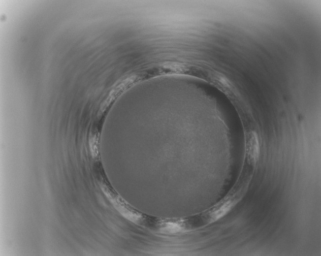 X0000055990285200508261732