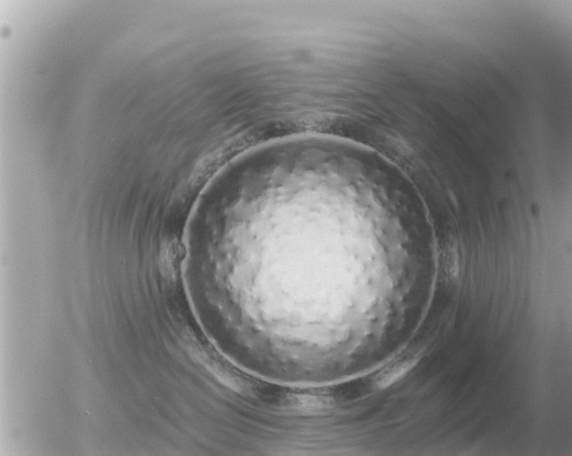 X0000055990286200508261732