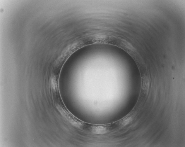 X0000055990287200508261732