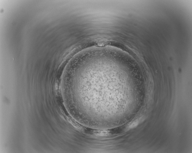 X0000055990288200508261732