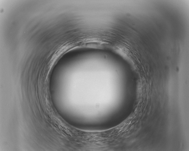 X0000055990289200508261731