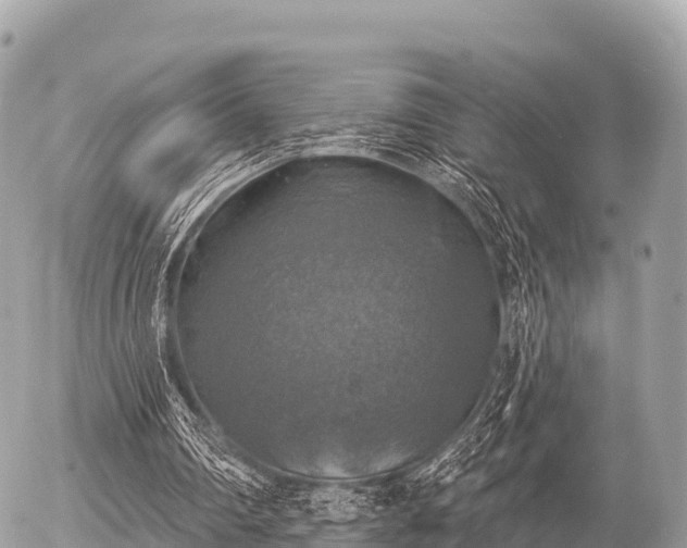 X0000055990290200508261731