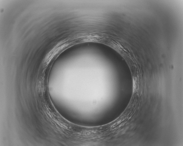 X0000055990291200508261731