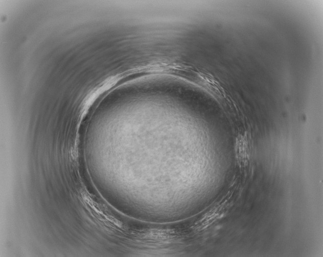 X0000055990292200508261731