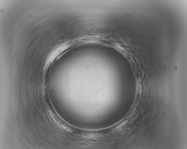 X0000055990293200508261731