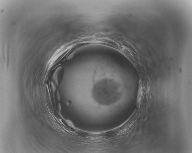 X0000055990295200508261731