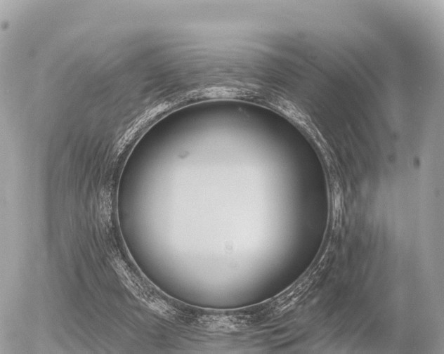 X0000055990297200508261731