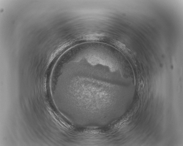 X0000055990299200508261731