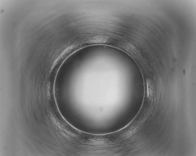 X0000055990300200508261731