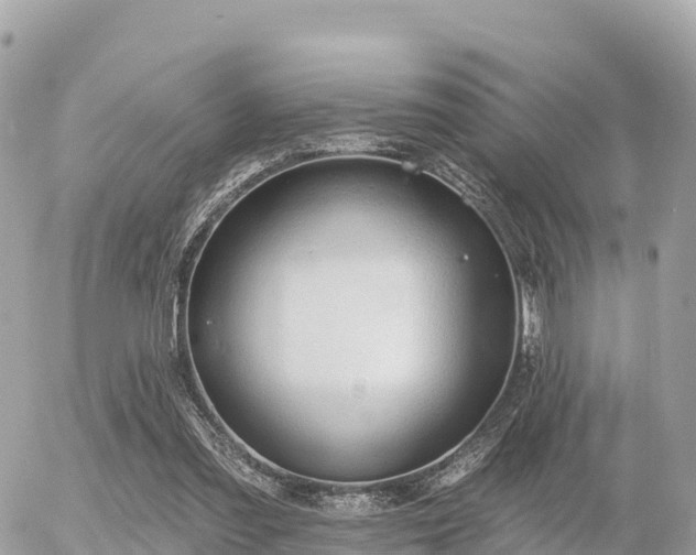 X0000055990301200508261731