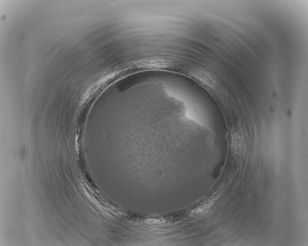 X0000055990302200508261731