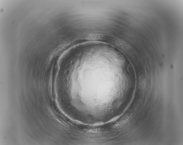 X0000055990303200508261731