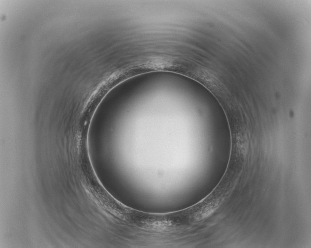 X0000055990304200508261731