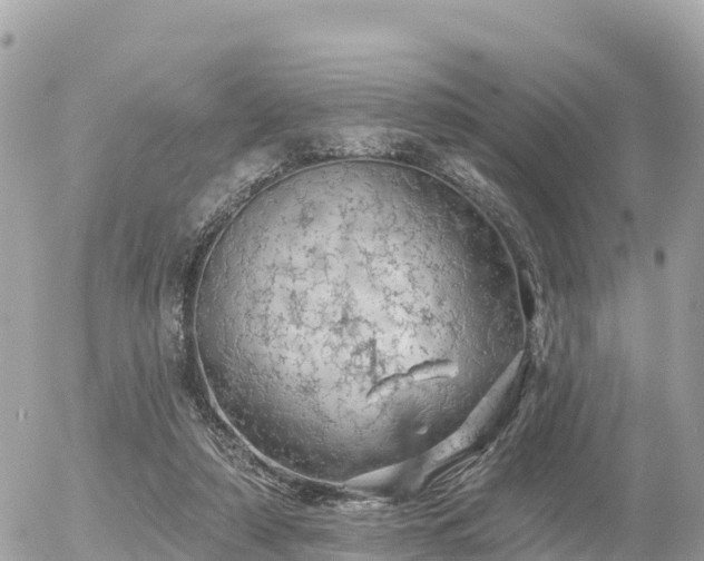 X0000055990306200508261731