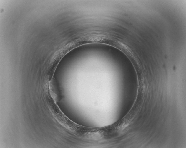 X0000055990307200508261731