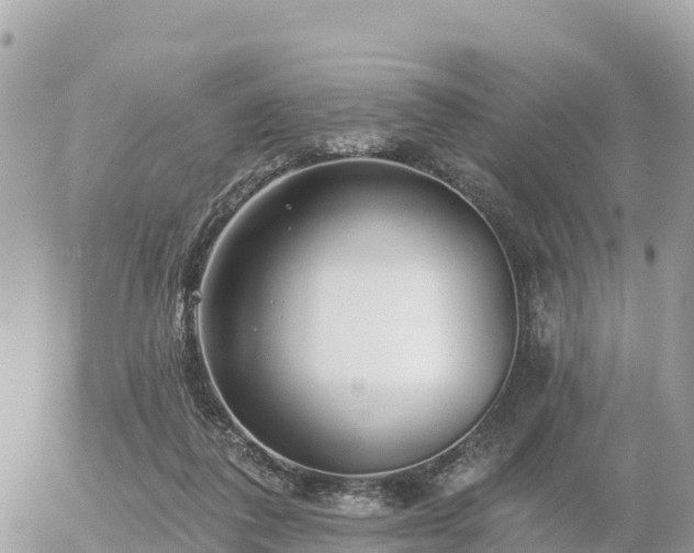 X0000055990308200508261731