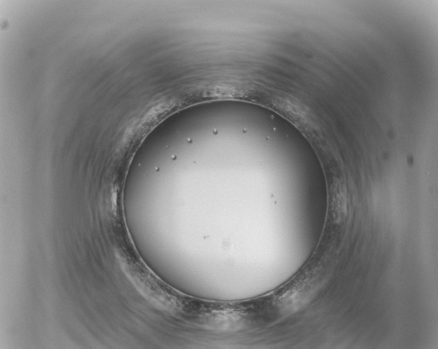 X0000055990310200508261731