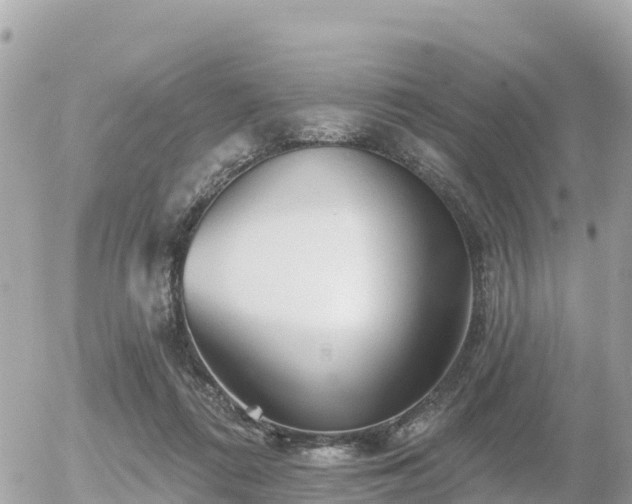 X0000055990312200508261731