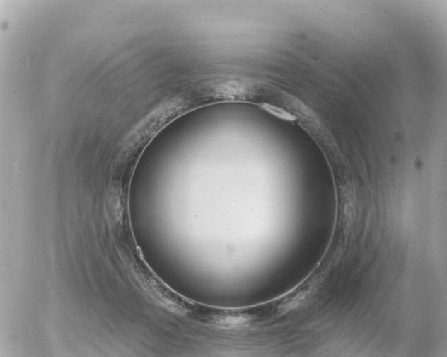 X0000055990313200508261731