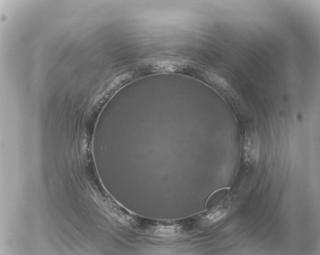 X0000055990314200508261731