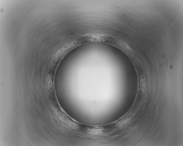 X0000055990318200508261731