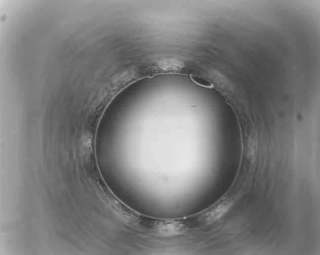 X0000055990321200508261731