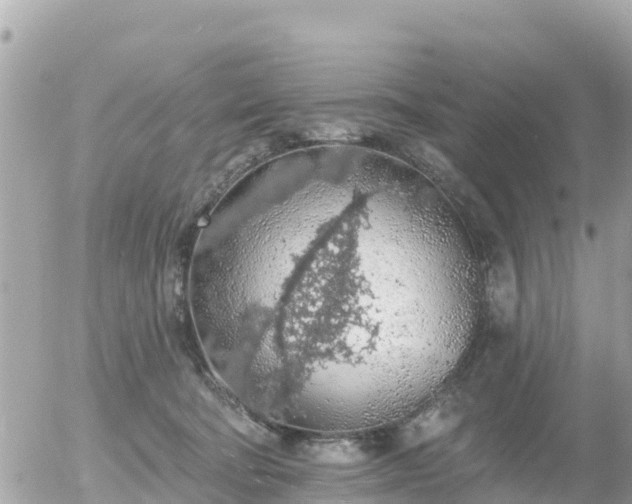 X0000055990322200508261731