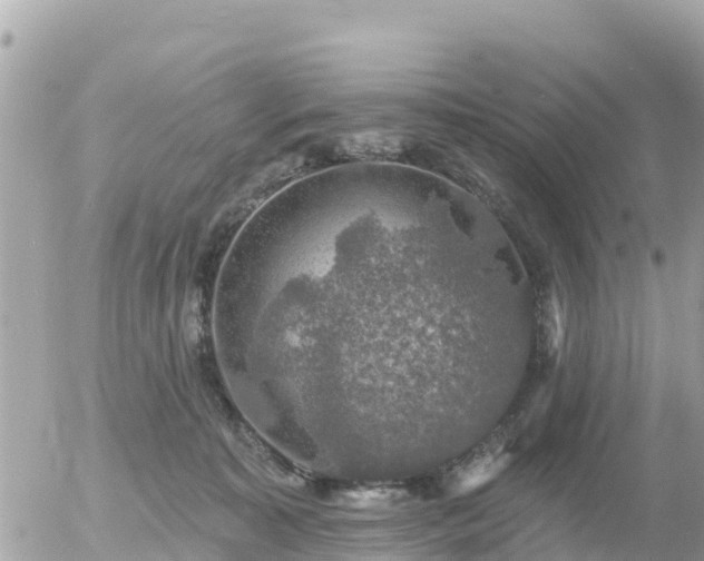 X0000055990323200508261731