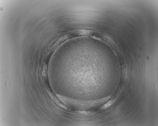 X0000055990325200508261731