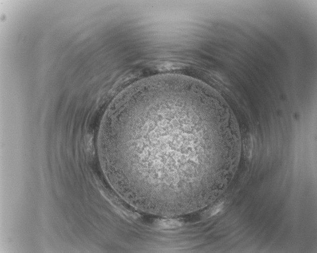 X0000055990327200508261731