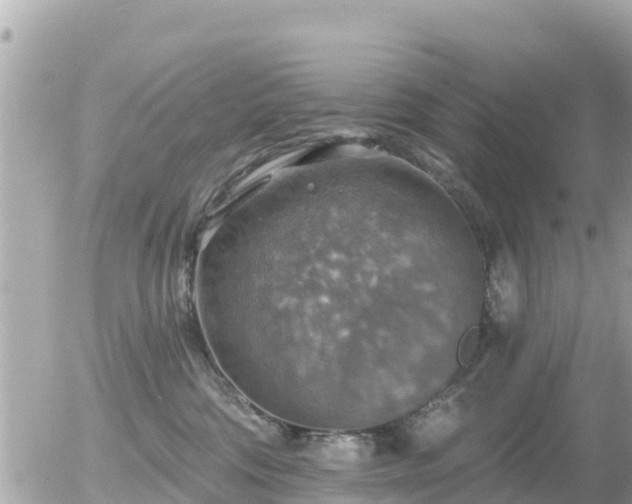 X0000055990330200508261731