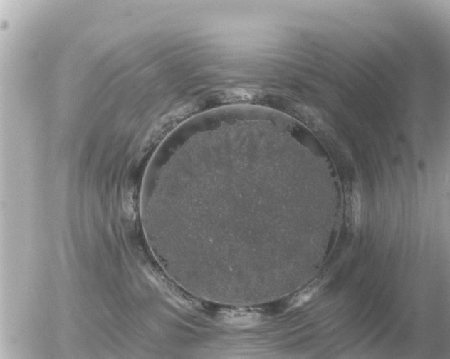 X0000055990331200508261731