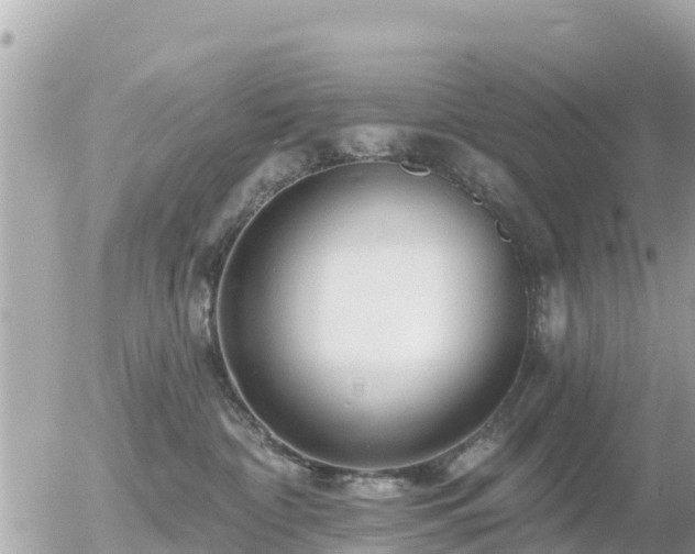 X0000055990332200508261730