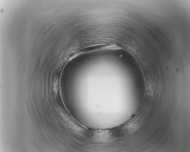 X0000055990334200508261730