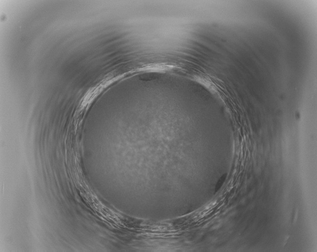 X0000055990337200508261730